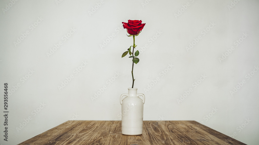 花瓶里的孤独玫瑰
