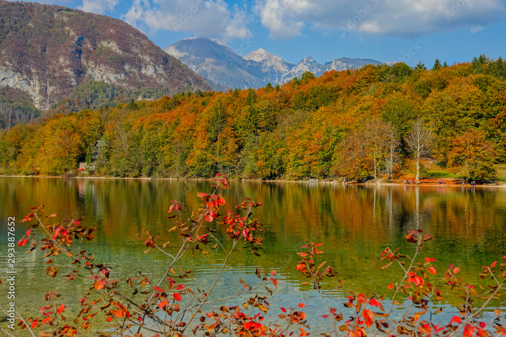 特写：翡翠湖和森林在秋天落叶的迷人景色