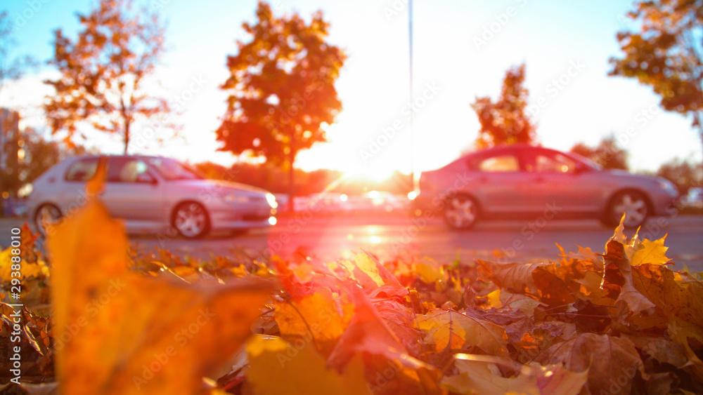 特写：两辆车驶过一堆秋天的树叶和一个停车场。