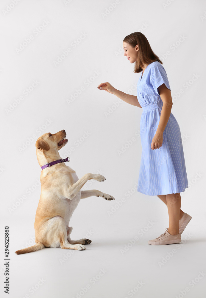 美丽的年轻女子在灯光背景下训练她的狗