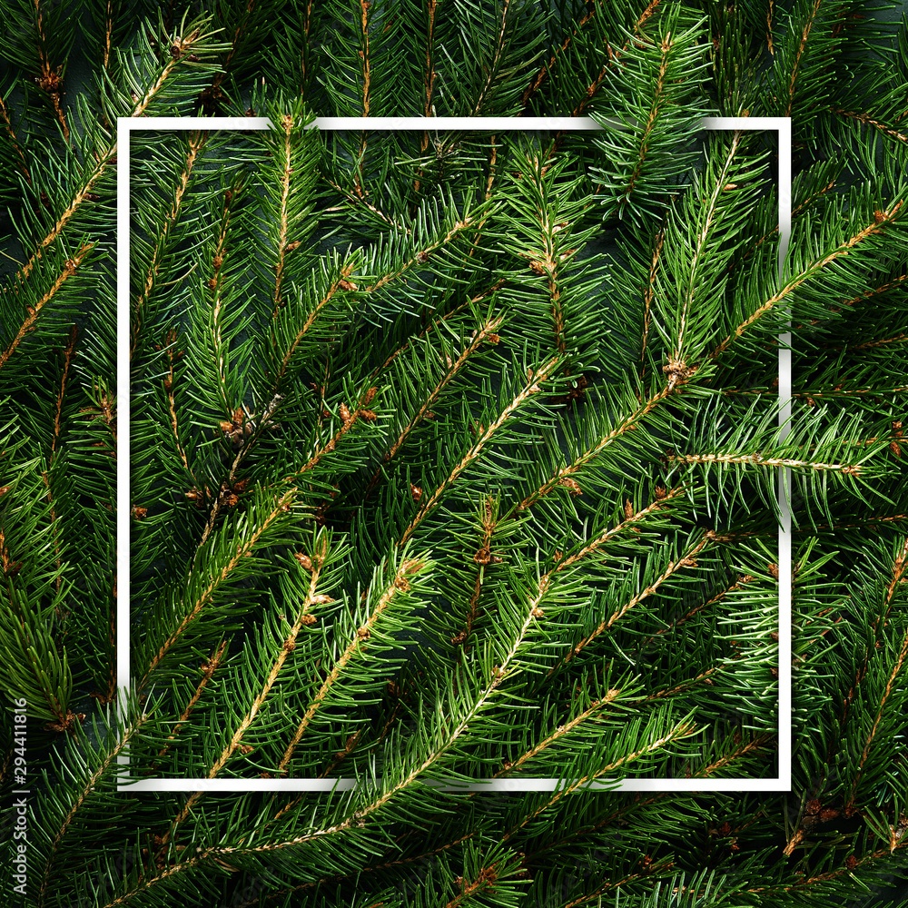 圣诞树枝。绿色树枝的框架。节日的圣诞边界
