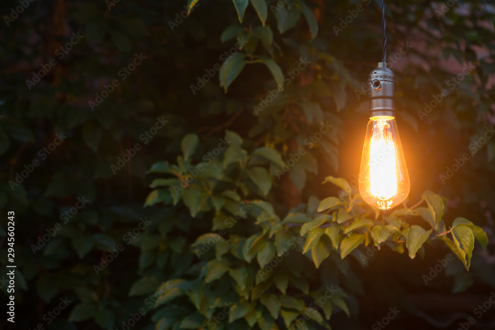 创意概念-花园里的老式白炽灯泡发光