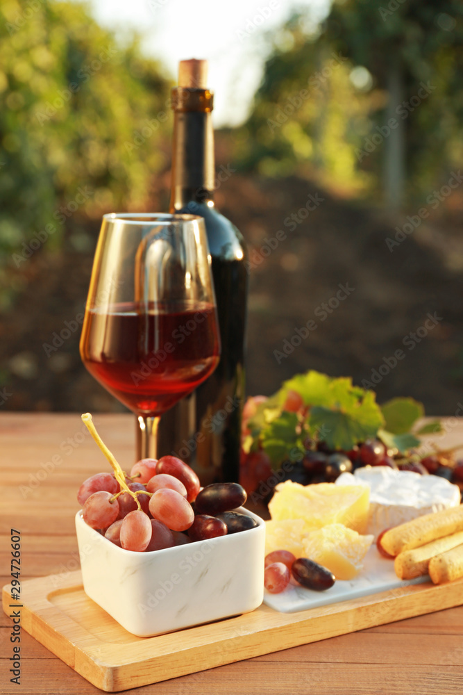 葡萄园木桌上的一杯一瓶葡萄酒和小吃