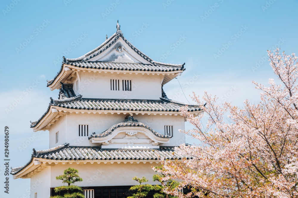 日本香川樱花盛开的丸江城堡
