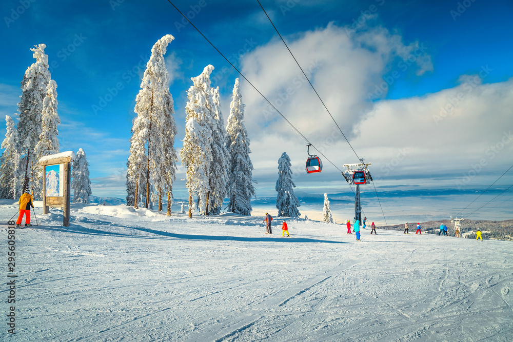 冬季滑雪场，有滑雪缆车树和活跃的滑雪者
