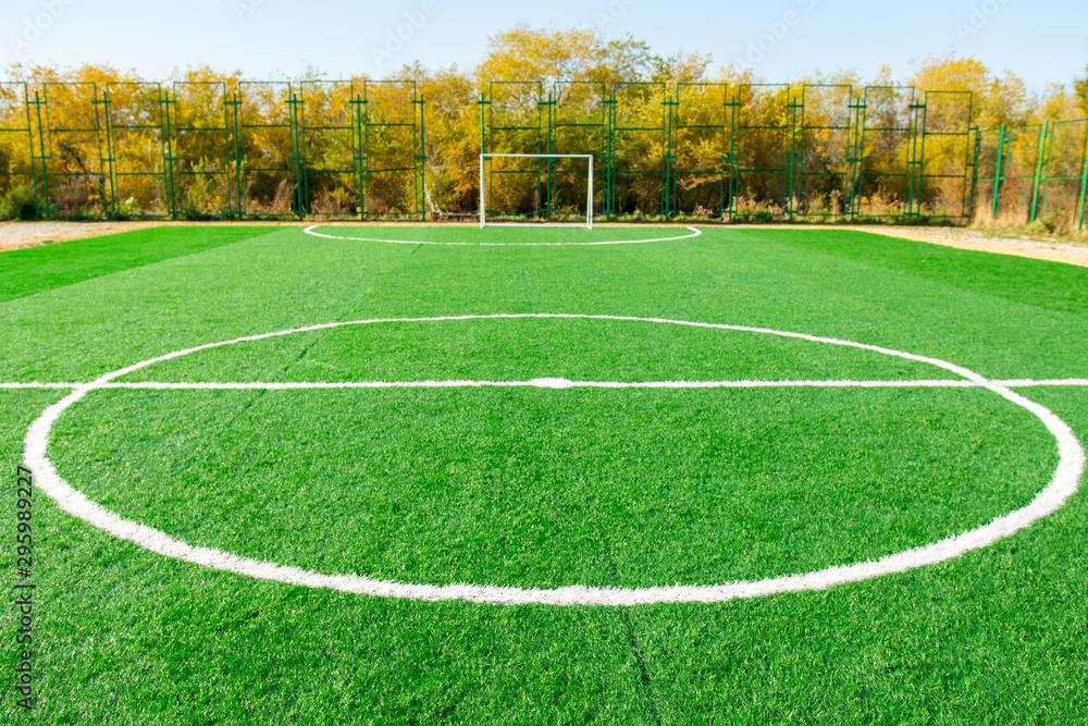 秋季自然的五人制足球场人造草皮。