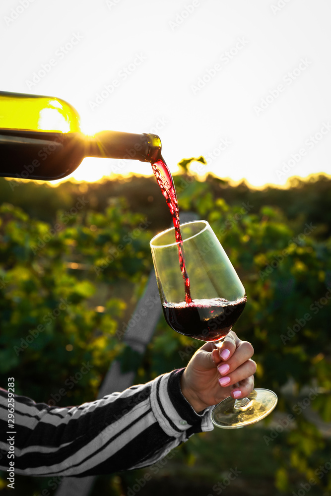 葡萄园里的女人把美味的葡萄酒从瓶子里倒进杯子里