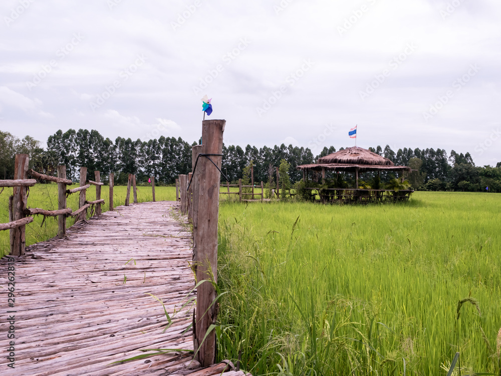 Wooden bridge for walking to the hut.The side is a rice green field have  sky and cloudy background.