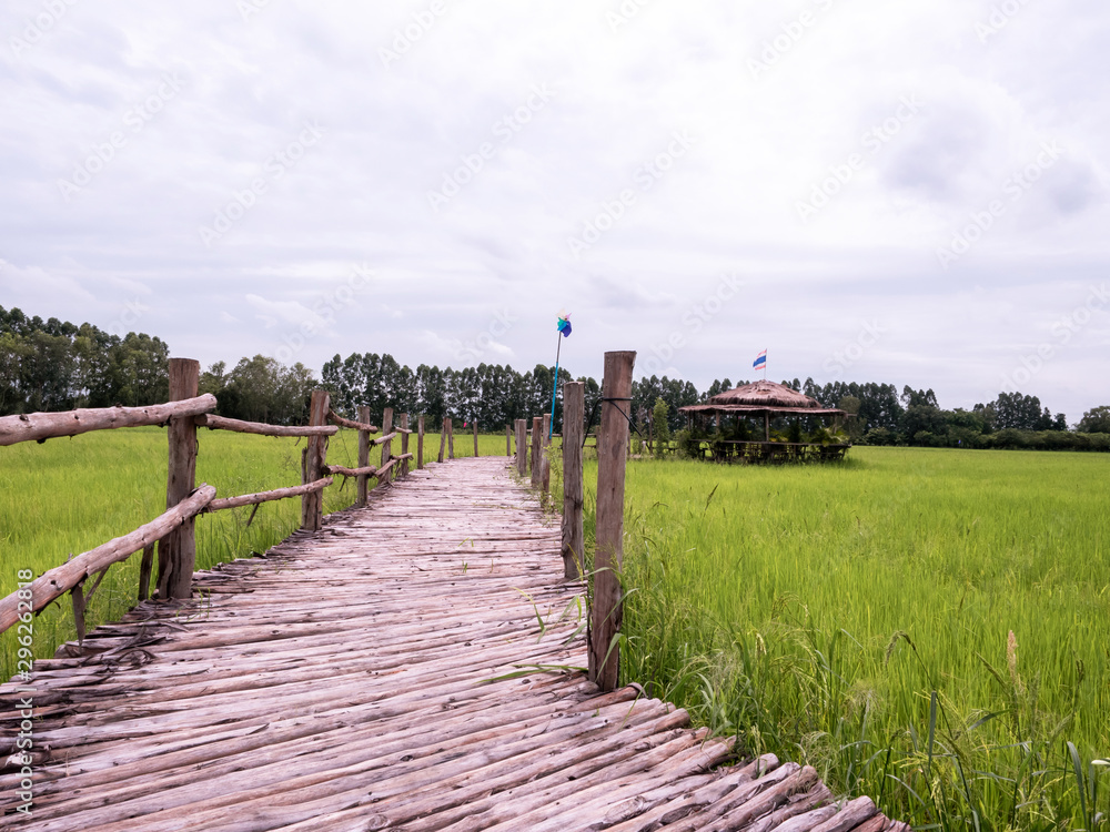 通往小屋的木桥。旁边是一片稻绿色的田野，天空多云。