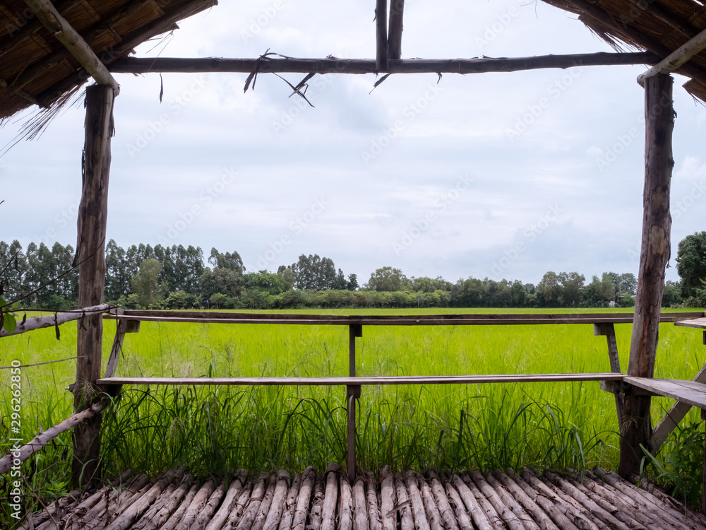田野旁的一间乡村小屋。从窗户可以看到自然景观。