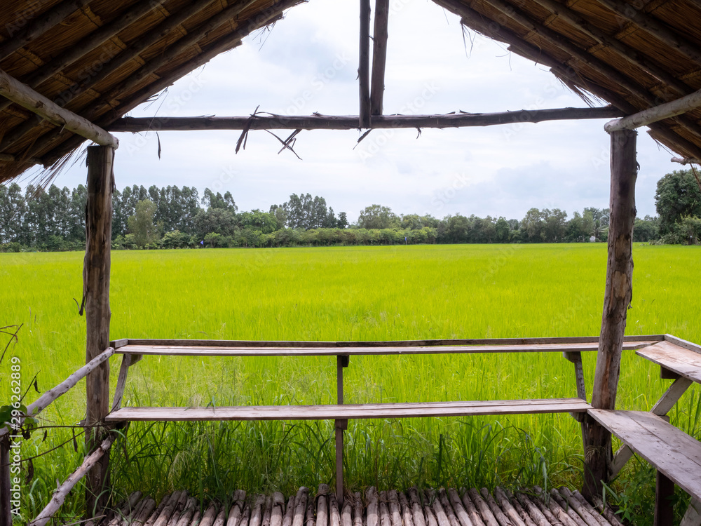 田野旁的一间乡村小屋。从窗户可以看到自然景观。
