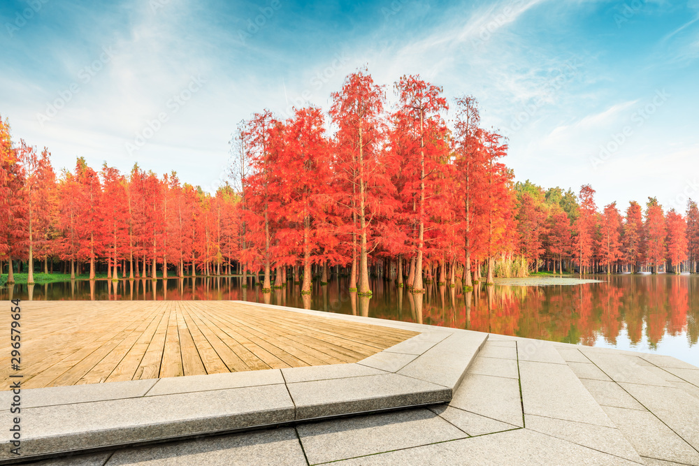 秋天空荡荡的木平台和美丽的彩色森林