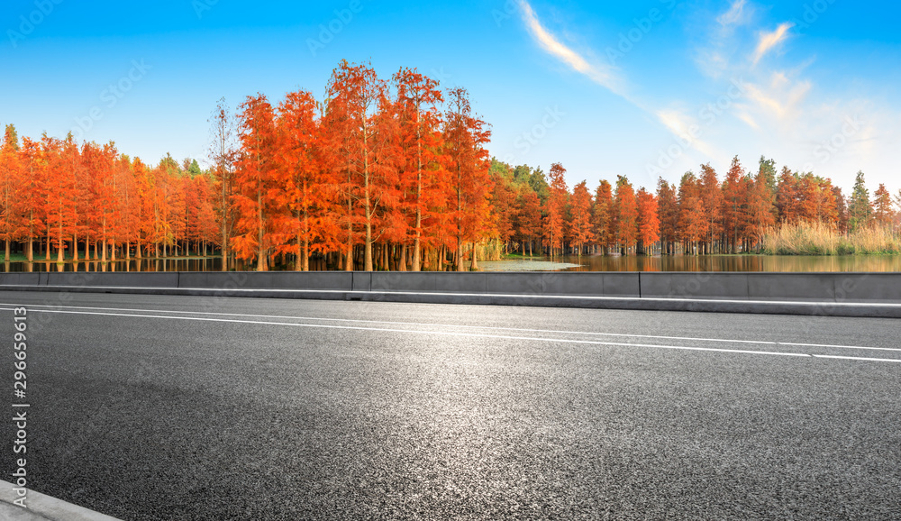 空旷的柏油路，秋天美丽的彩色森林
