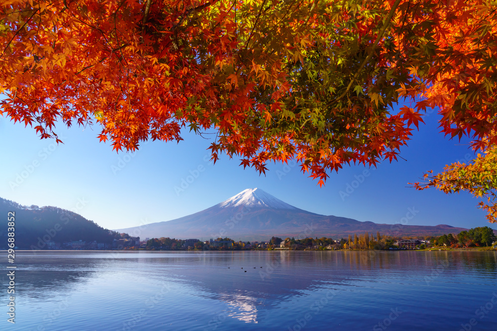 富士山，秋天的红枫，川口湖，日本