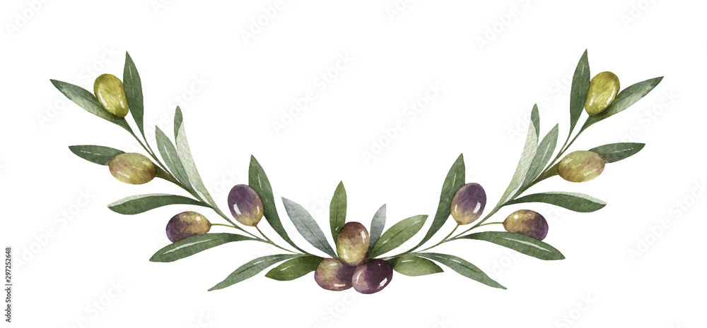 橄榄枝和浆果的水彩矢量花环。