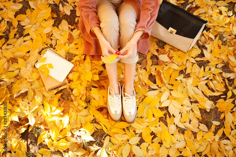 美丽的年轻女子在秋季公园休息