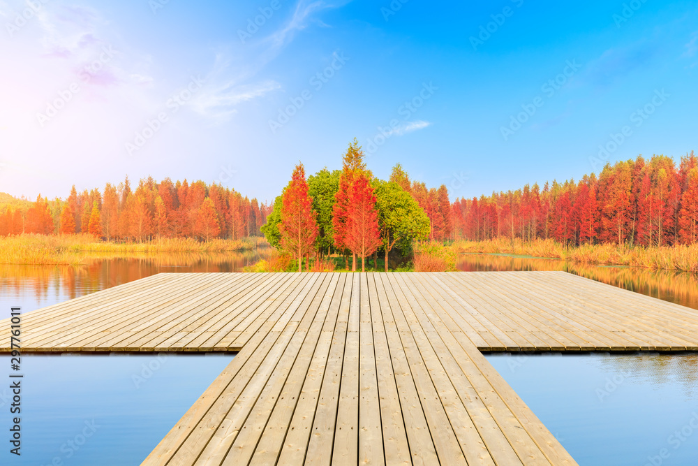 空旷的木板广场，秋天美丽的五彩森林