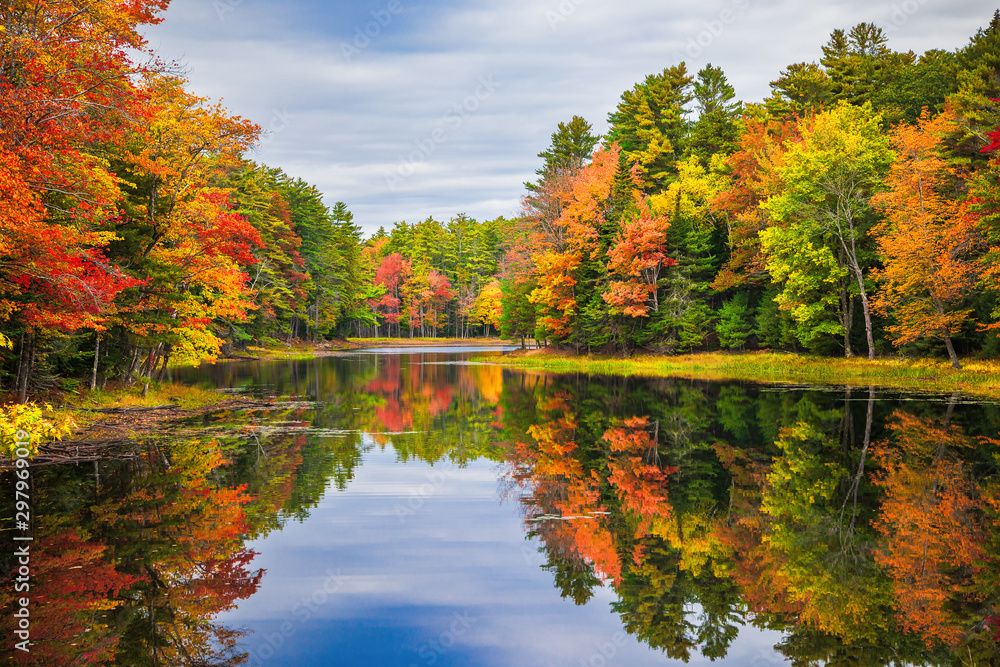 在新英格兰一个美丽的秋日，平静的池塘水中，五颜六色的树叶树倒影