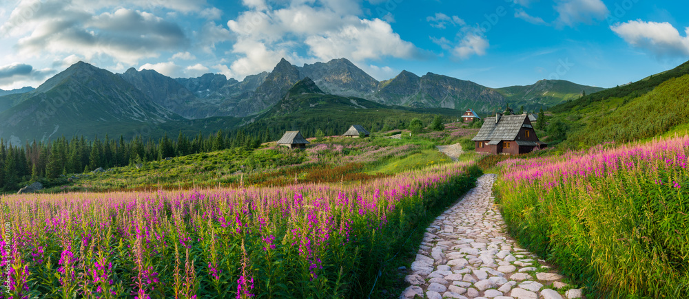 山景，塔特拉山脉全景，波兰五颜六色的花朵和加西尼科瓦的小屋