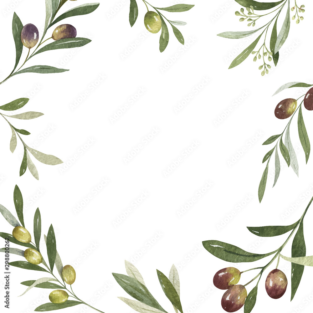 橄榄枝和叶子的水彩矢量框架。