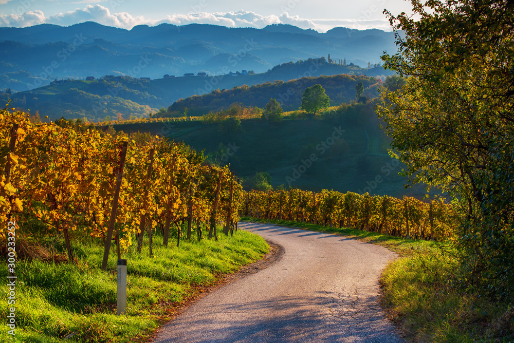 斯洛文尼亚和奥地利葡萄酒之路