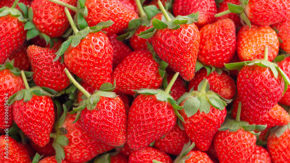 漂亮美味的草莓装在木箱篮子里，有机农业的概念，新鲜的direc