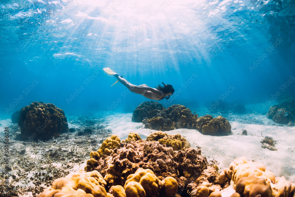 女子自由泳运动员在透明的海水中带着黄色的鳍在沙质海洋上滑行。毛里求斯自由泳