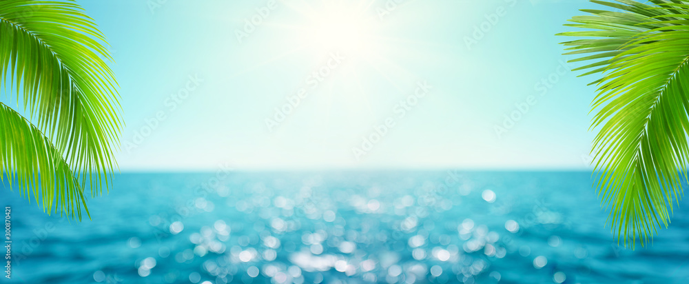 美丽的模糊散焦蓝色海洋背景，棕榈叶。热带夏天的风景。夏天