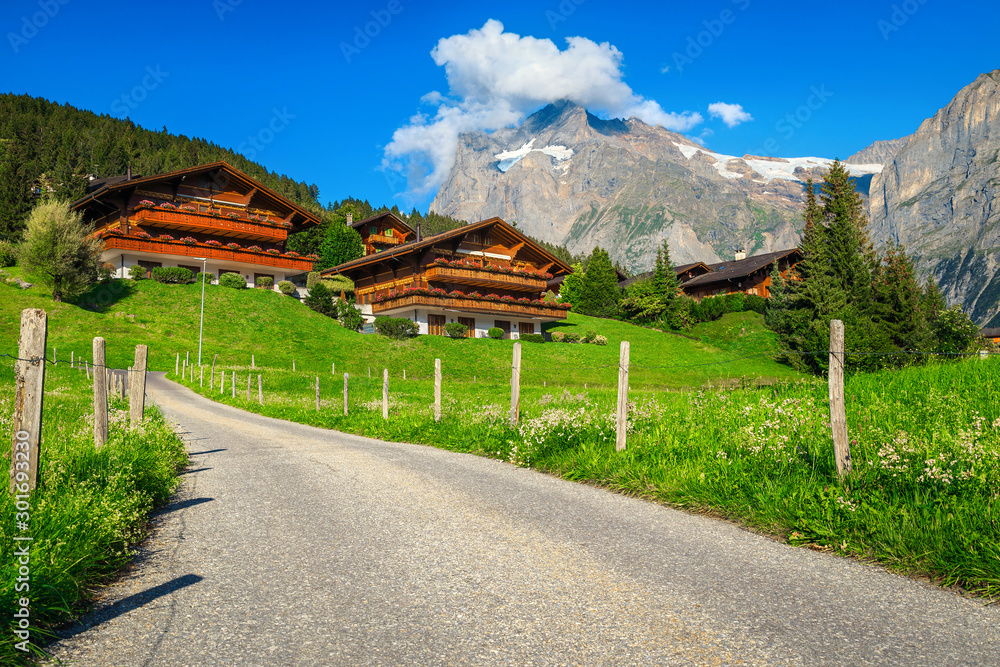 Wooden lodges and gardens with flowery meadows, Grindelwald, Switzerland