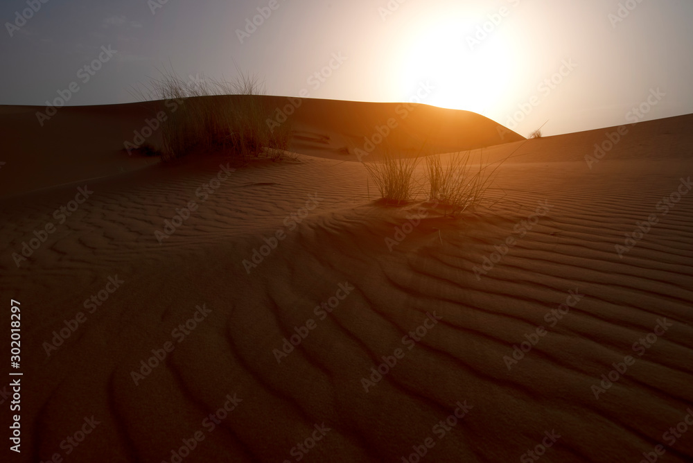 The beauty of the sand dunes in the Sahara Desert in Morocco. The Sahara Desert is the largest hot d