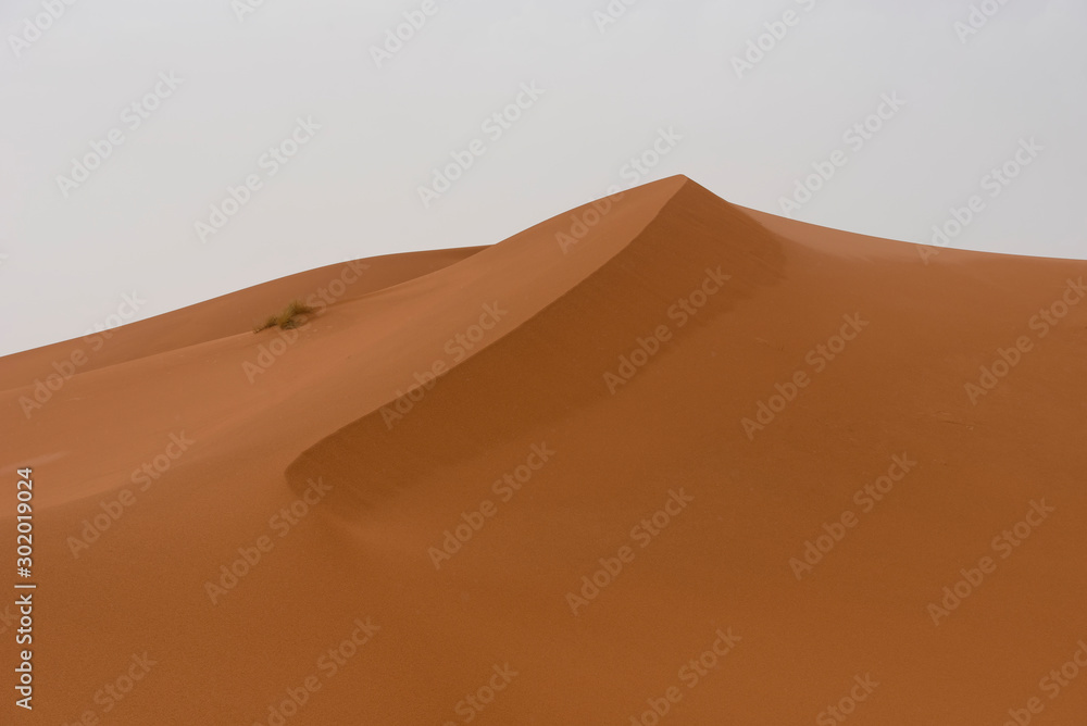 摩洛哥撒哈拉沙漠沙丘之美。撒哈拉沙漠是最大的热d