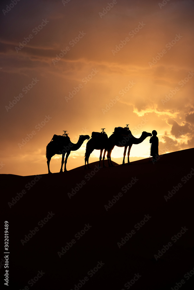 摩洛哥撒哈拉沙漠沙丘之美。撒哈拉沙漠是最大的热d