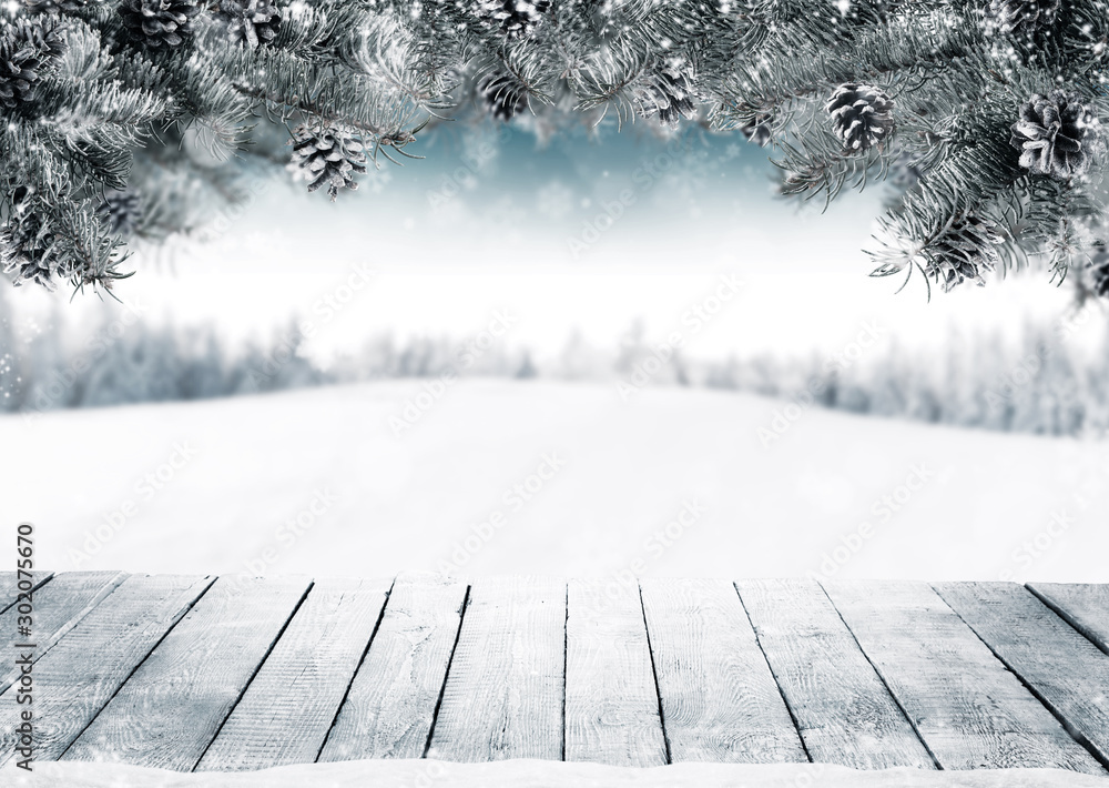 圣诞背景，云杉树枝和雪锥，雪花和文本复制空间