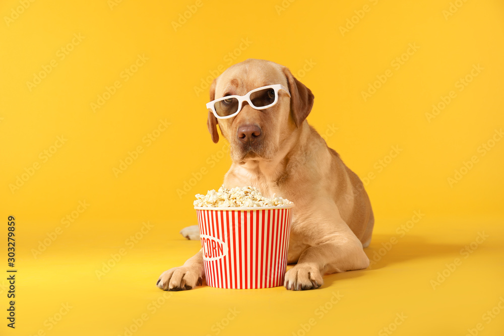 可爱的小狗，带着一桶爆米花和彩色背景的3d眼镜