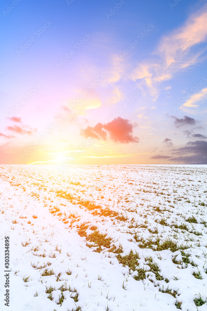 冬季农田麦苗被雪和天空的晚霞覆盖