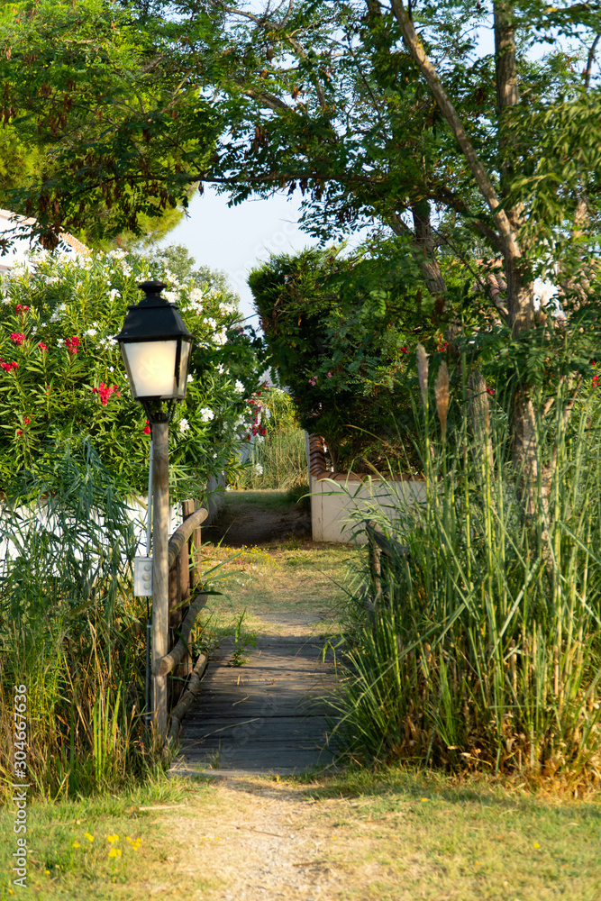 A romantic path with a street light, flowers and a river