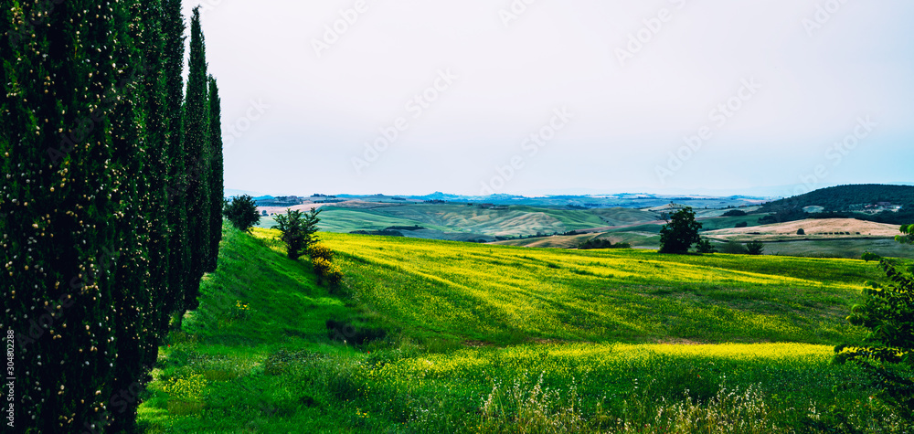 意大利阳光明媚的托斯卡纳村庄景观。美丽的绿色山丘和乡村道路。农业是