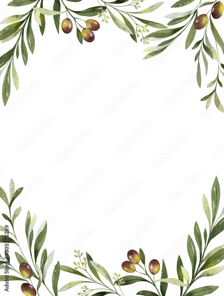 橄榄枝和叶子的水彩矢量框架。