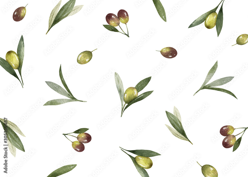 橄榄枝和叶子的水彩矢量卡。