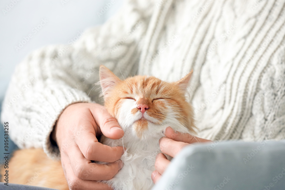 Man stroking cute cat at home
