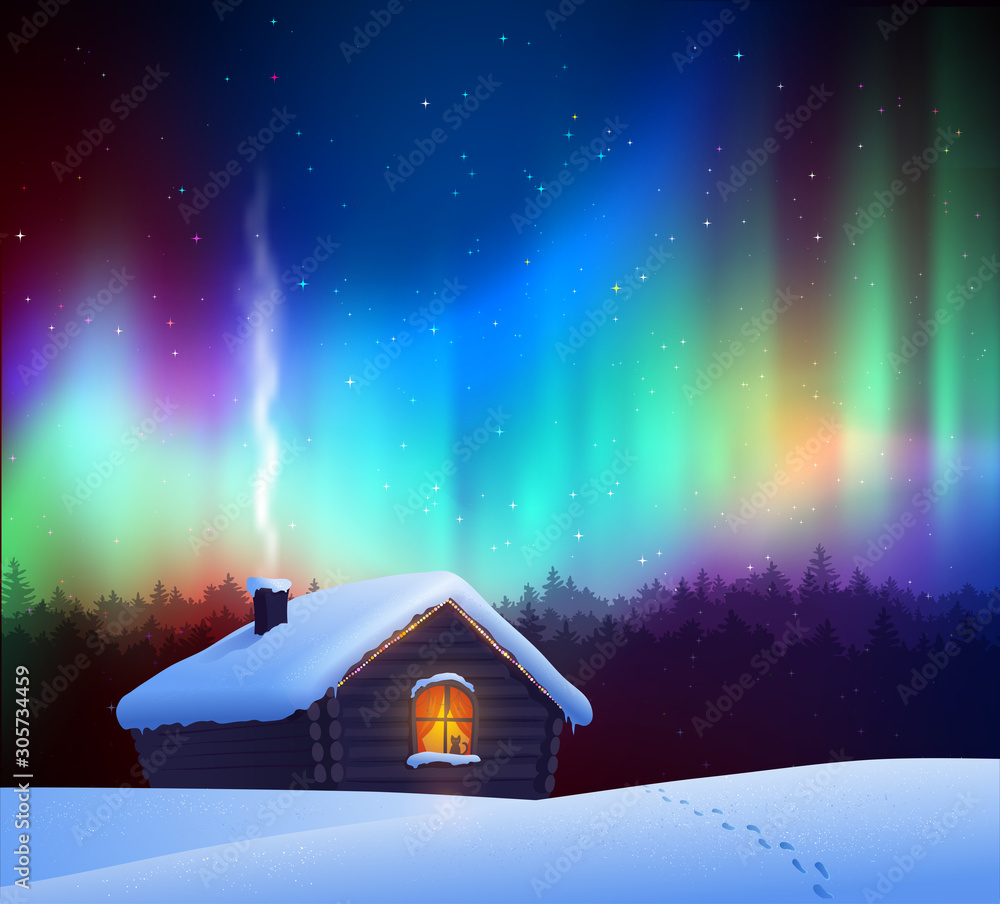 Vector illustration of winter night landscape