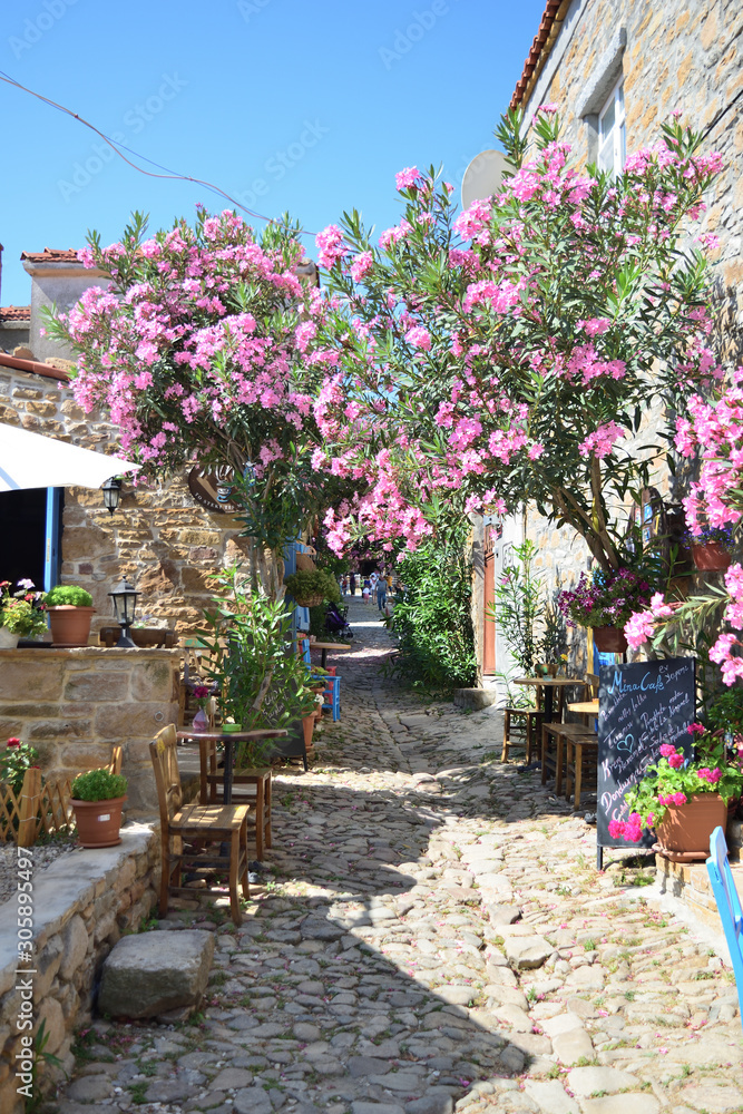 希腊村庄Zeytinlikoy（Agios Theodoros）-土耳其爱琴岛Gokceada的景色