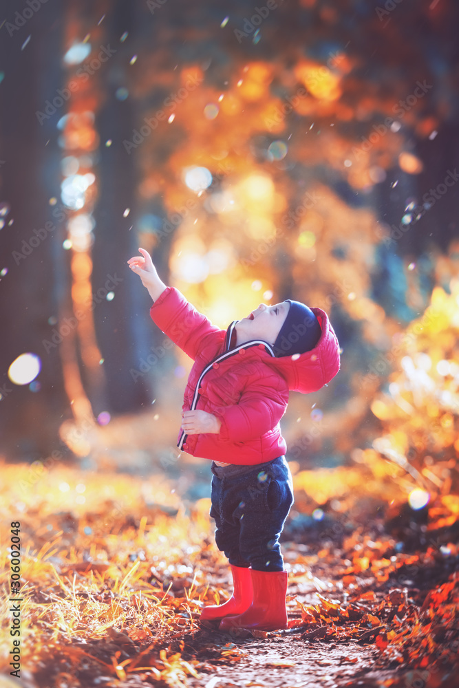 穿着红色橡胶靴和红色夹克的蹒跚学步的小男孩在秋天的公园里抓雨。橙色