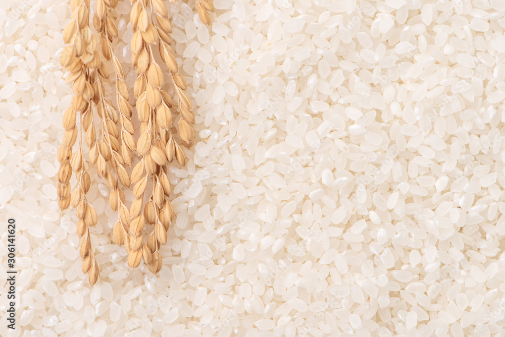 在棕色碗中的白色背景上，生的白色抛光磨碎的可食用水稻，有机农业de