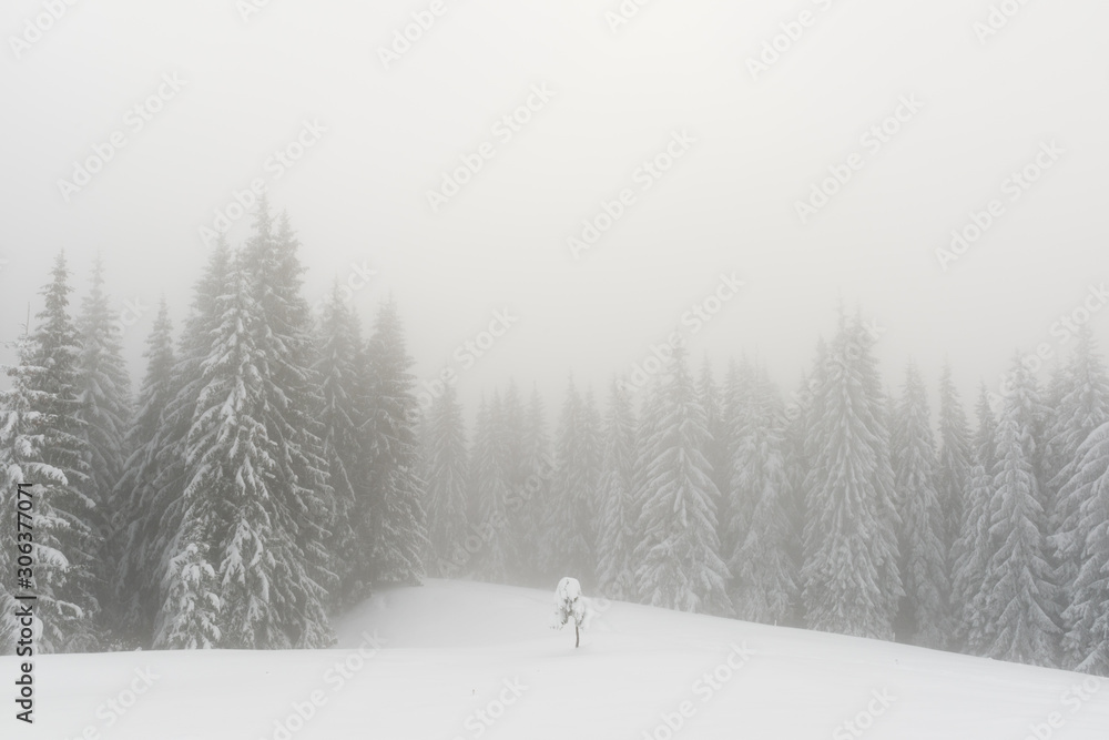 白雪皑皑的冬季美景