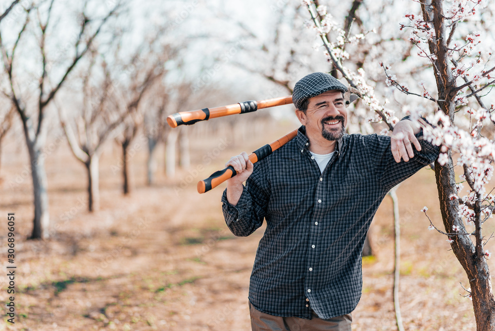 Positive farmer in blooming orchard with large pruning shears, leaning on a tree.