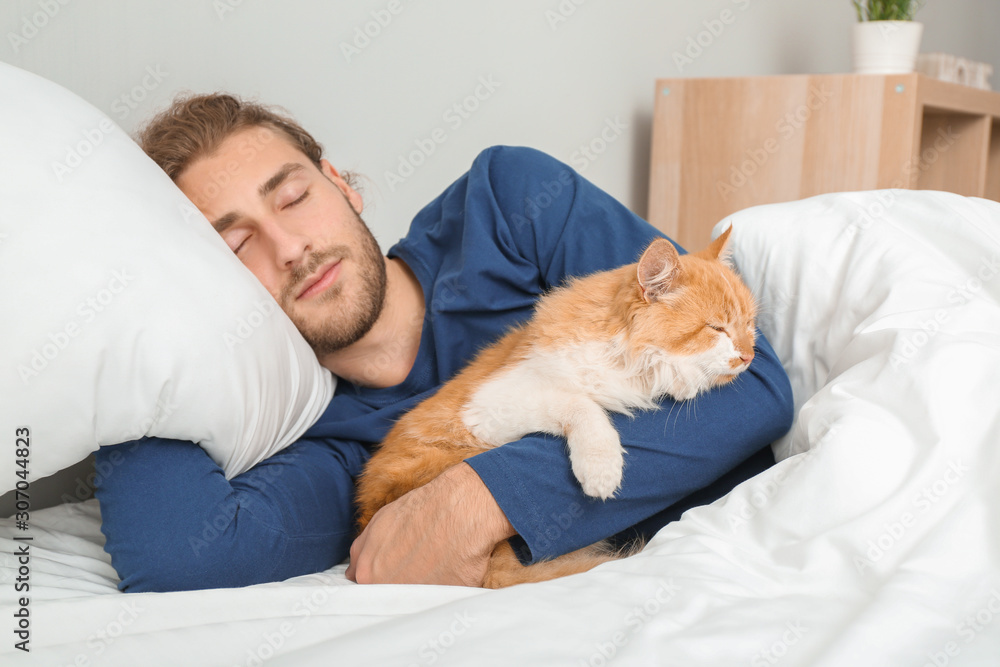 年轻人带着可爱的猫睡在床上的早晨