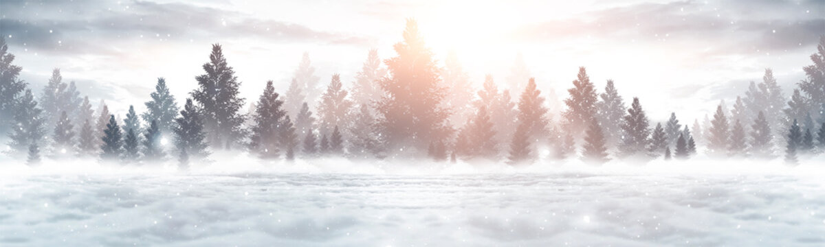 Winter abstract landscape. Sunlight in the winter forest. Panorama of forest landscape in winter. Br