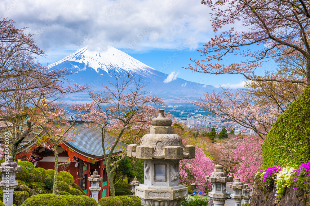 日本后宫市，春天与富士山在和平公园。