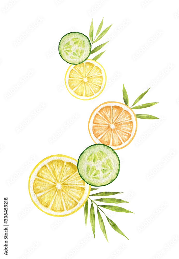 Watercolor vector card with lemon, cucumber slices and tropical leaves.